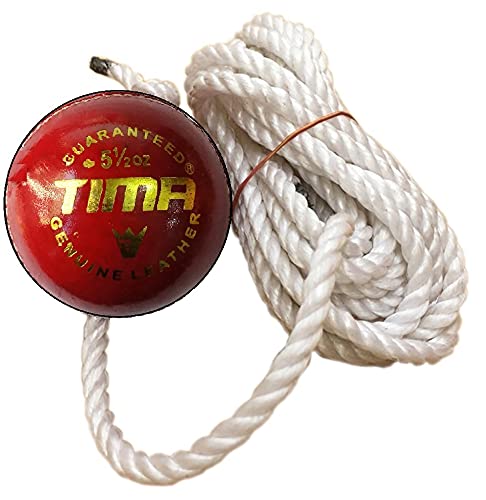 Hanging Ball for Practice