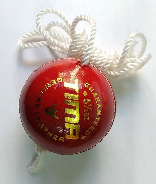 Hanging Ball for Practice