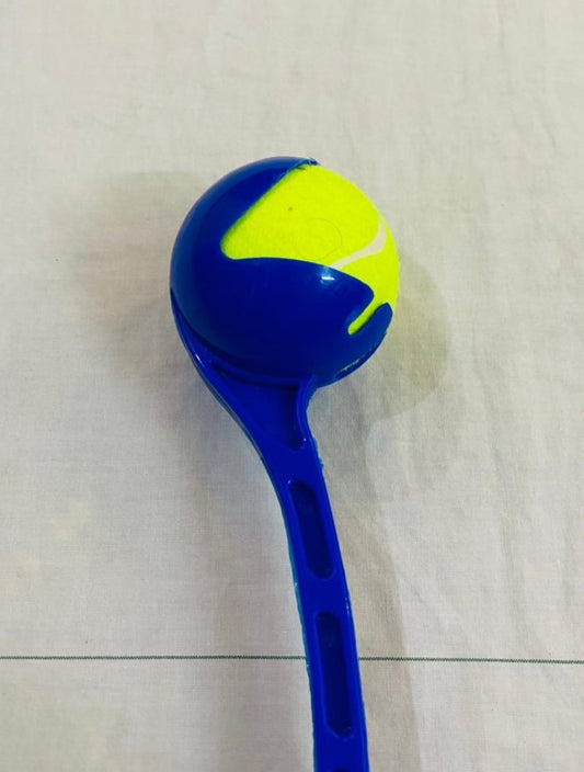 Roboarm World's Fastest Cricket Ball Thrower